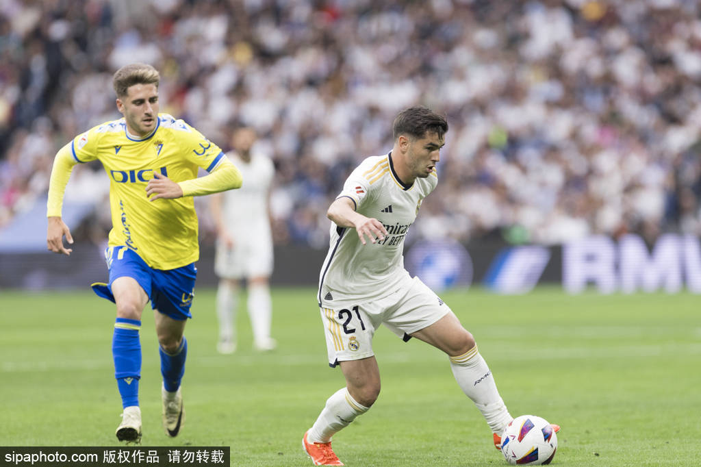 季他们在东 季他们在东