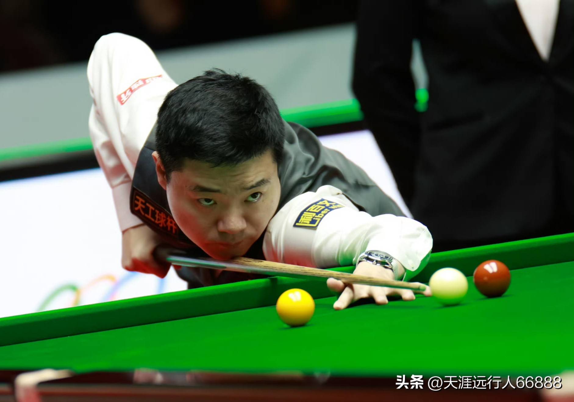 这不仅是为 这不仅是为