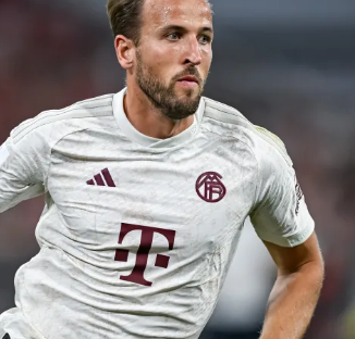 态度不仅能 态度不仅能