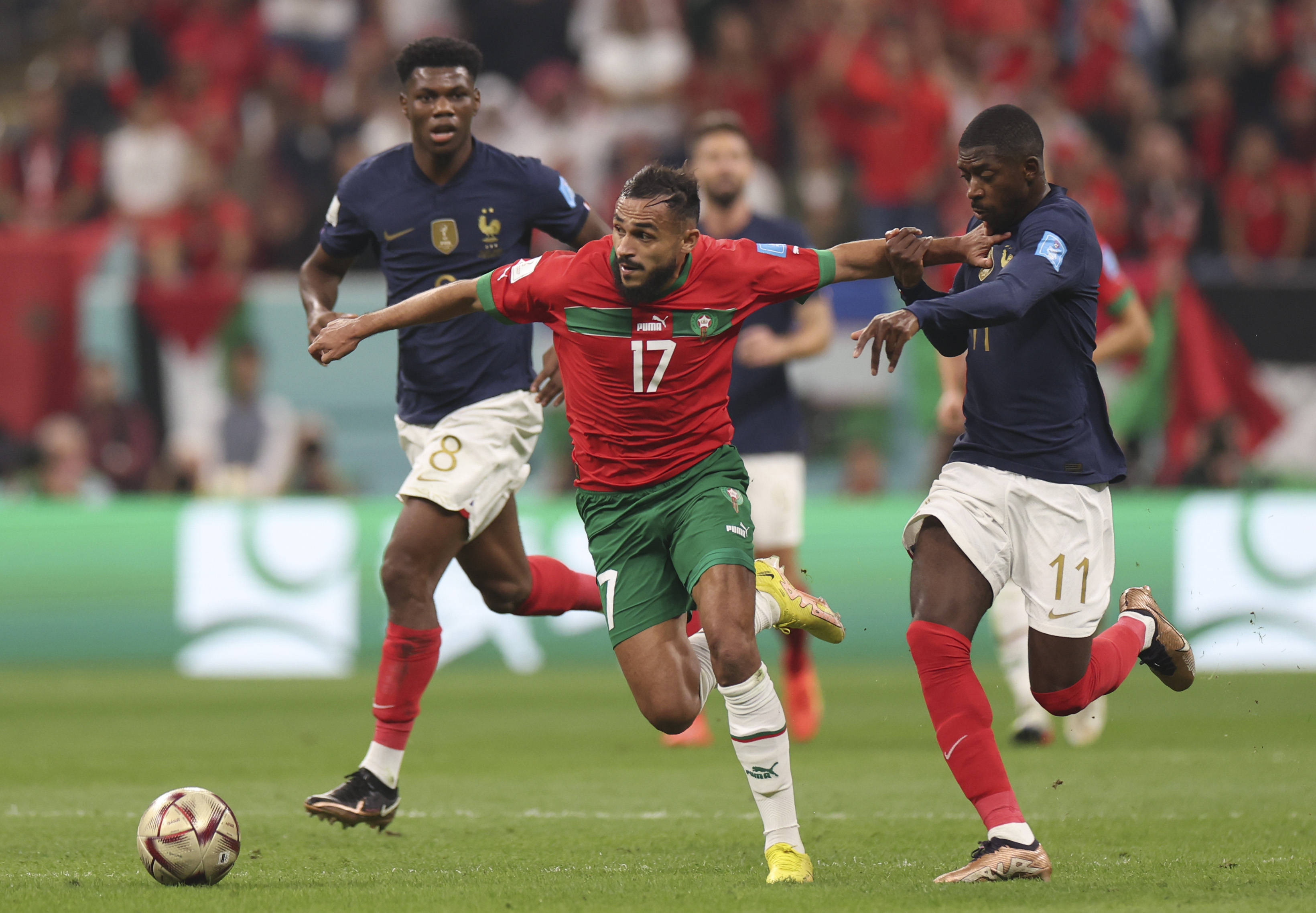 帆船爱好者 帆船爱好者