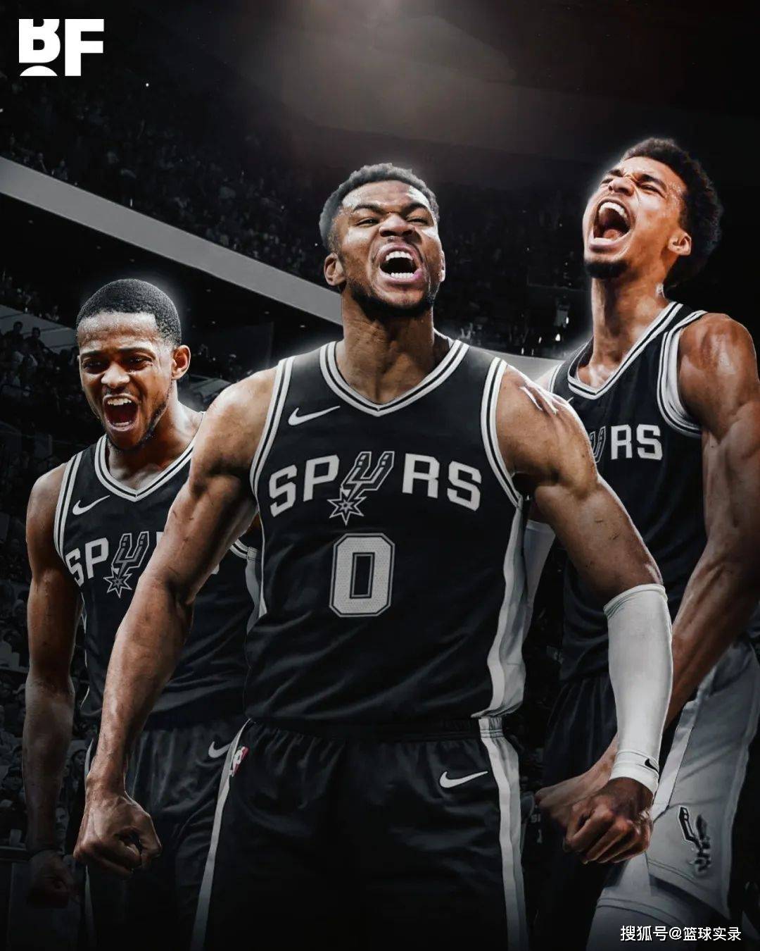 钱包地址查 钱包地址查